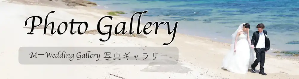 ギャラリー