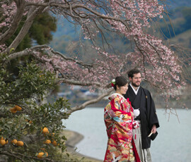 桜と夏蜜柑結婚写真