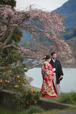 桜と夏蜜柑結婚写真