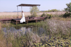 フォトウェディング｜結婚写真に「婚礼衣装付き」プランがお薦め!