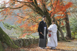 　津和野弥栄神社