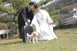 愛犬と新郎新婦
