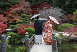 長府庭園紅葉４