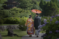 特別な写真を「麗」に現像