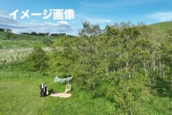 秋吉台フォトウェディング実績ギャラリー