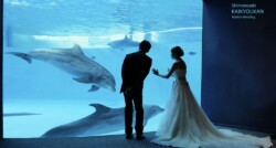 下関市でフォトウェディングをするならM-Wedding