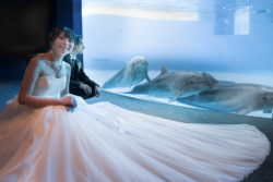 下関市でフォトウェディングをするならM-Wedding