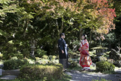 堀庭園（津和野）プラン