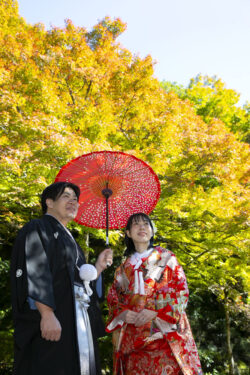 堀庭園（津和野）プラン