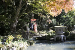 堀庭園（津和野）プラン