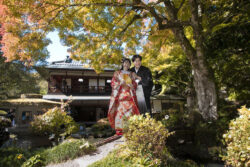 堀庭園（津和野）プラン