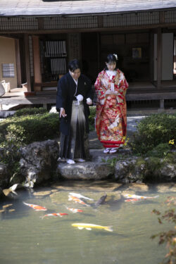 堀庭園（津和野）プラン