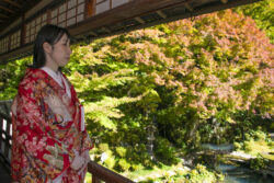 堀庭園（津和野）プラン