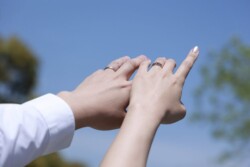 きらら博記念公園はフラワーガーデン