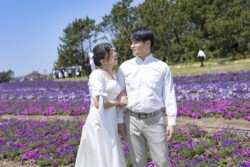 きらら博記念公園はフラワーガーデン