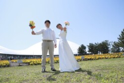 きらら博記念公園はフラワーガーデン