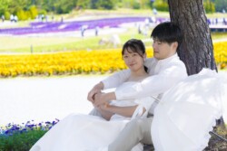 きらら博記念公園はフラワーガーデン