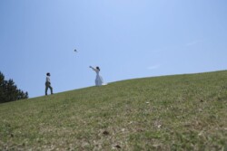 きらら博記念公園はフラワーガーデン