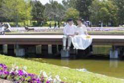 きらら博記念公園はフラワーガーデン