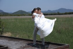 きらら博記念公園はフラワーガーデン