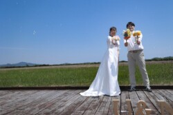 きらら博記念公園はフラワーガーデン