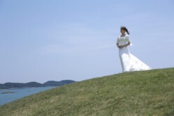 きらら博記念公園はフラワーガーデン