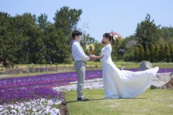 きらら博記念公園はフラワーガーデン