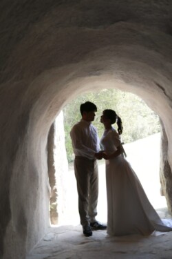 きらら博記念公園はフラワーガーデン